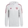 Adidas FC Bayern Condivo 22 Hoodie Herren Weiß Rot