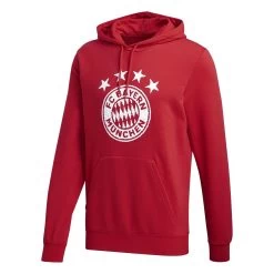 Adidas FC Bayern München DNA Graphic Hoodie 2020 2021 Herren Rot