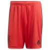 Adidas Fußball Kinder DFB Deutschland Home Torwart Hose Heim Shorts EM 2020 Rot