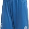 Adidas Juventus Turin Ausweichshorts 2019 2020 Kinder Blau