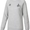 Hummel 1. FC Köln 2022 2023 Fan Lebe Sweatshirt Damen Grau