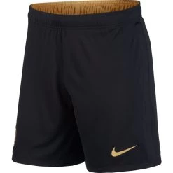 Nike FC Barcelona Home/Away Shorts 2020 2021 Kinder Schwarz Gold