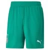 Puma BMG Heim Shorts 2022 2023 Herren Grün