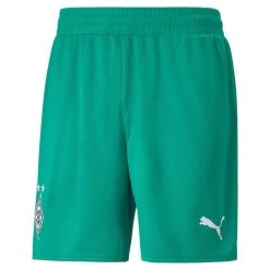 Puma BMG Heim Shorts 2022 2023 Herren Grün