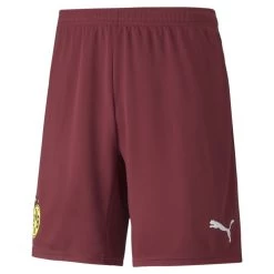 Puma Borussia Dortmund Torwartshorts 2021 2022 Kinder Dunkelrot