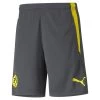 Puma Borussia Dortmund Training Fußball-Shorts 21/22 Dunkelgrau Gelb Herren