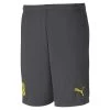 Puma Borussia Dortmund Trainingsshorts Herren Dunkelgrau