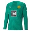 Puma BVB Torwarttrikot Langarm 2022 2023 Herren Grün