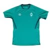 Umbro SV Werder Bremen Trainingstrikot 19/20 Herren Grün